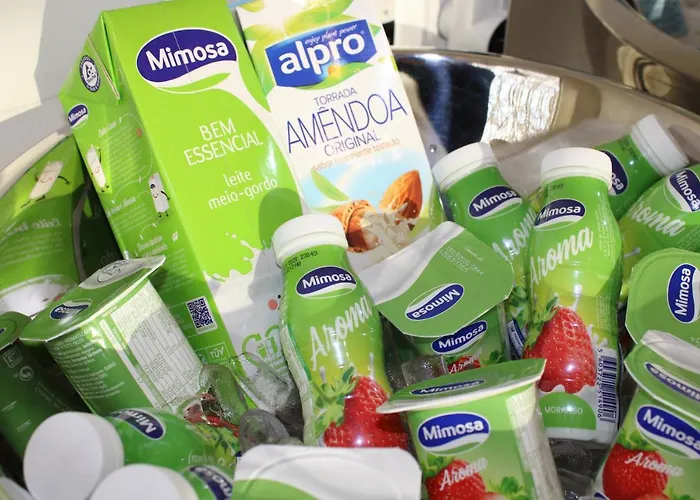 Barquinha River House בית כפרי וילה נובה דה ברקיניה